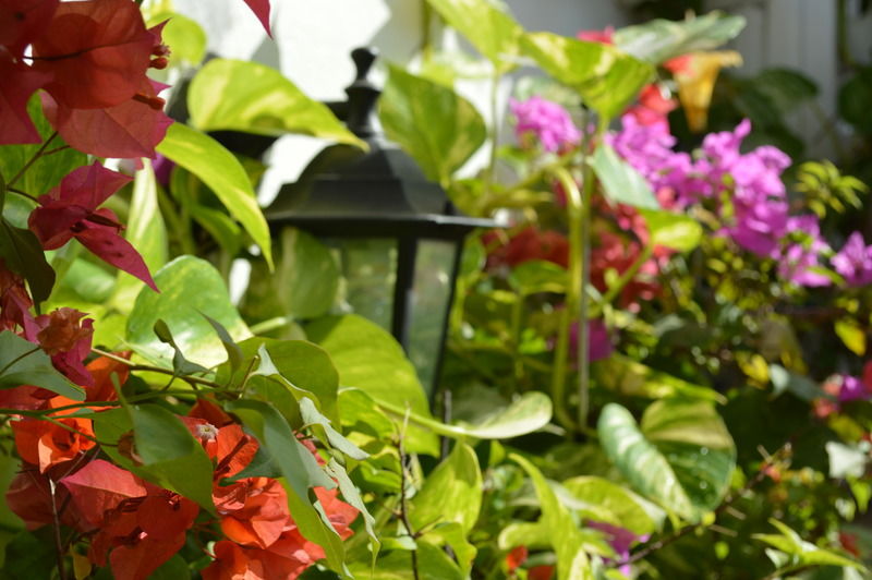 Casa Mary Hotell Cartagena Eksteriør bilde