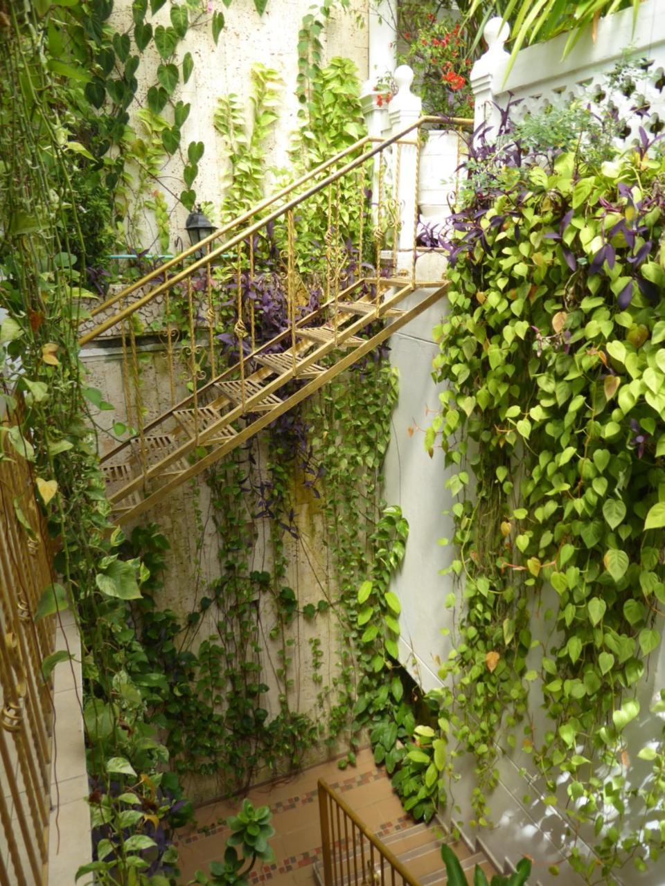 Casa Mary Hotell Cartagena Eksteriør bilde